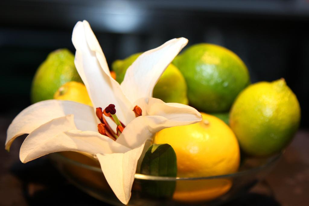 Hotel Ibis Styles La Rioja อาร์เนโด ภายนอก รูปภาพ